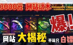 CSGO开箱网站推荐：最佳选择大揭秘！